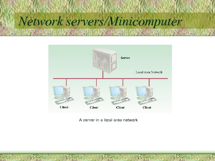 Network servers/Minicomputer A server in a local area network 