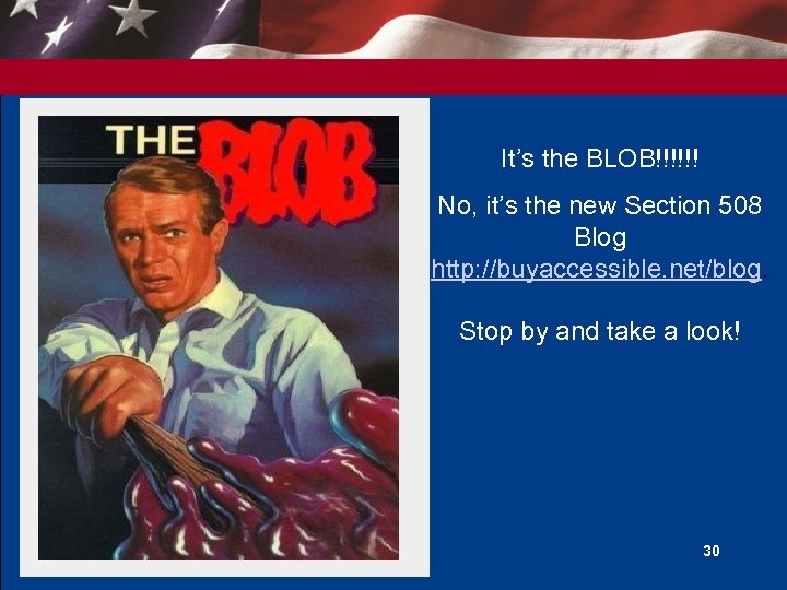 It’s the BLOB!!!!!! No, it’s the new Section 508 Blog http: //buyaccessible. net/blog. Stop