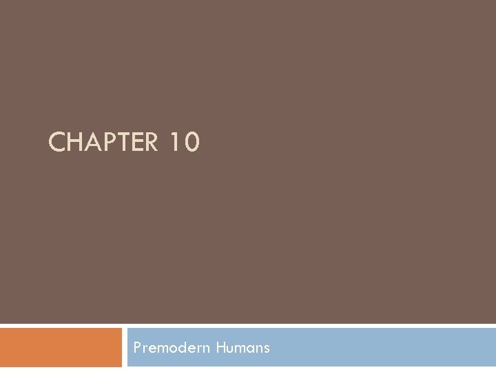CHAPTER 10 Premodern Humans 