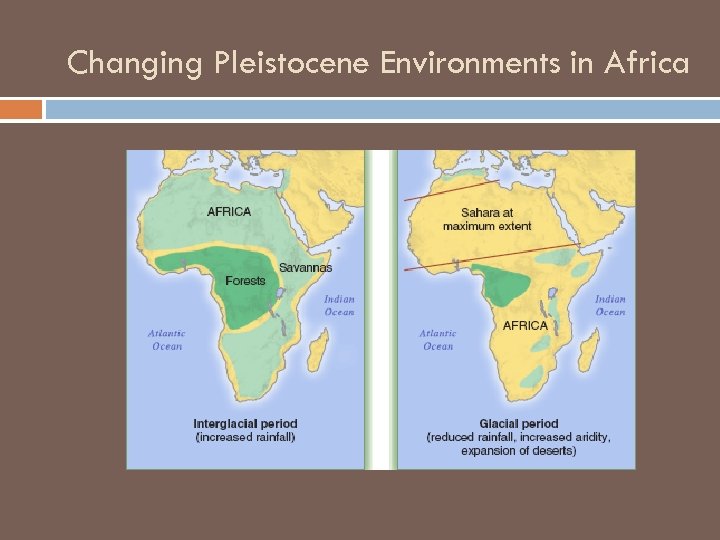 Changing Pleistocene Environments in Africa 