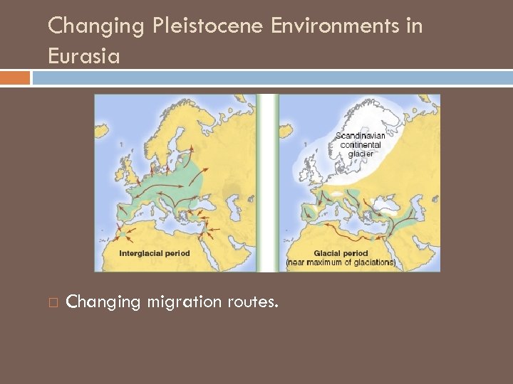 Changing Pleistocene Environments in Eurasia Changing migration routes. 