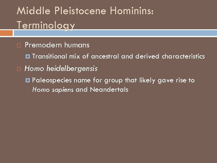 Middle Pleistocene Hominins: Terminology Premodern humans Transitional mix of ancestral and derived characteristics Homo