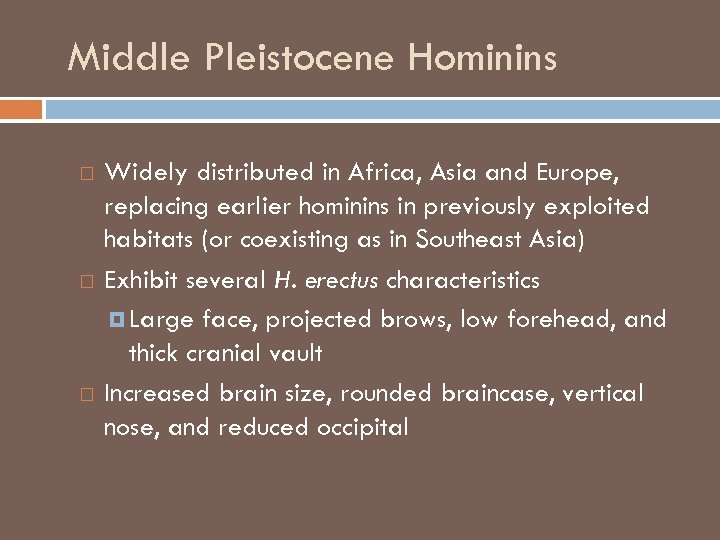 Middle Pleistocene Hominins Widely distributed in Africa, Asia and Europe, replacing earlier hominins in