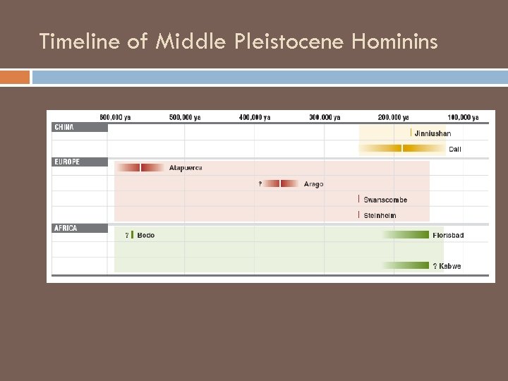 Timeline of Middle Pleistocene Hominins 