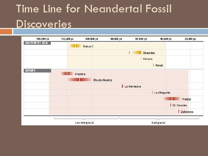 Time Line for Neandertal Fossil Discoveries 
