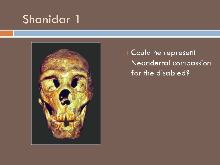 Shanidar 1 Could he represent Neandertal compassion for the disabled? 