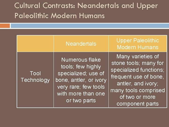 Cultural Contrasts: Neandertals and Upper Paleolithic Modern Humans Neandertals Upper Paleolithic Modern Humans Many