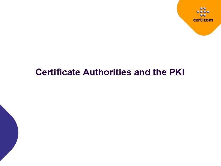 Certificate Authorities and the PKI 