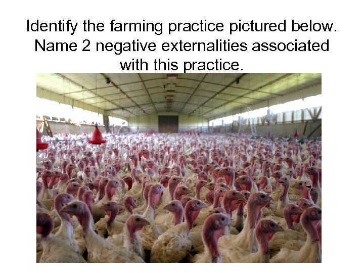 Identify the farming practice pictured below. Name 2 negative externalities associated with this practice.