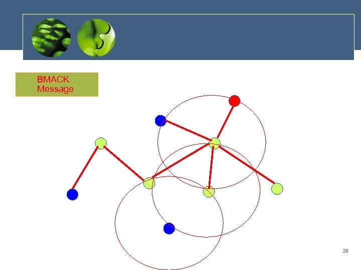 BMACK Message 28 