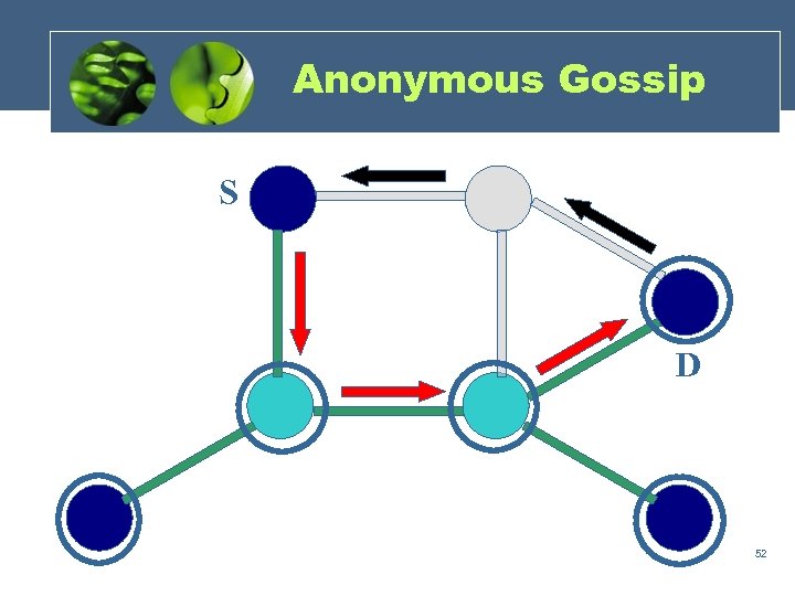 Anonymous Gossip S D 52 