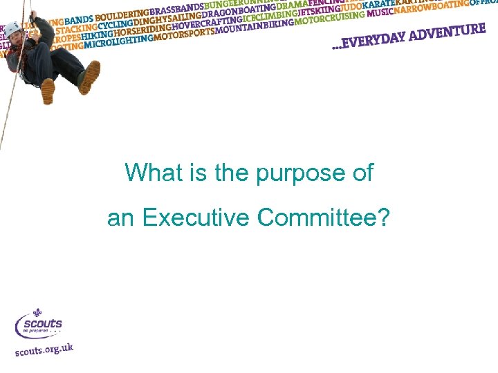 What is the purpose of an Executive Committee? 