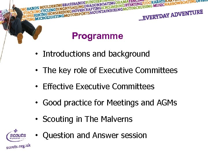 Programme • Introductions and background • The key role of Executive Committees • Effective