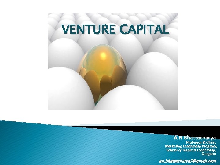 VENTURE CAPITAL A N Bhattacharya Professor & Chair, Marketing Leadership Program, School of Inspired