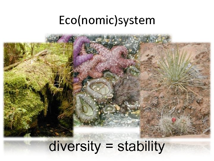 Eco(nomic)system diversity = stability 