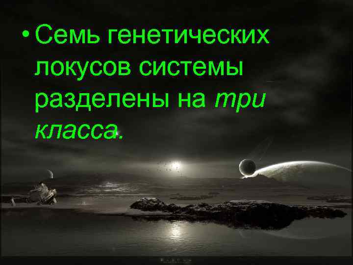  • Семь генетических локусов системы разделены на три класса. 