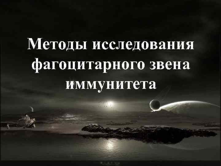 Методы исследования фагоцитарного звена иммунитета 