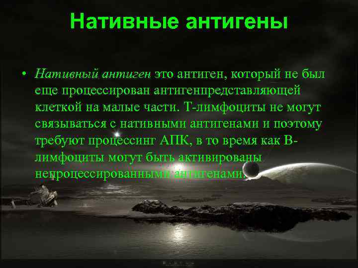Нативные антигены • Нативный антиген это антиген, который не был еще процессирован антигенпредставляющей клеткой