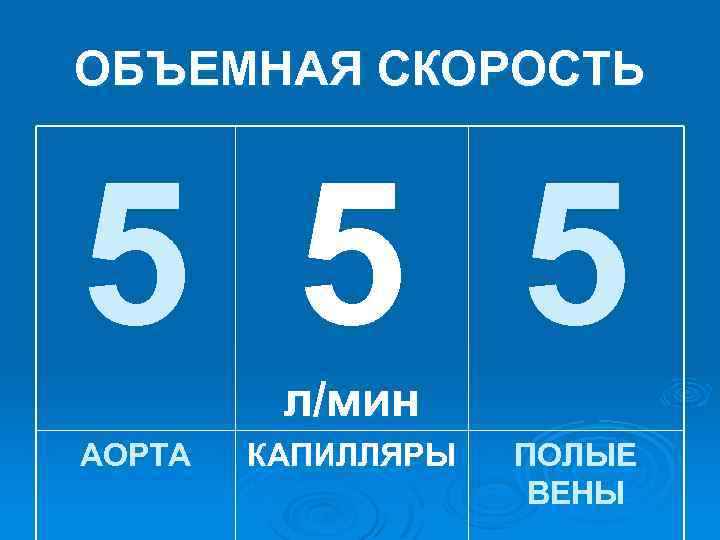 ОБЪЕМНАЯ СКОРОСТЬ 5 5 5 л/мин АОРТА КАПИЛЛЯРЫ ПОЛЫЕ ВЕНЫ 