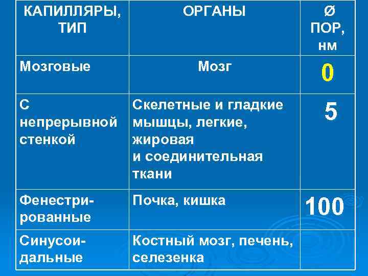 КАПИЛЛЯРЫ, ТИП Мозговые ОРГАНЫ Ø ПОР, нм Мозг 0 С непрерывной стенкой Скелетные и