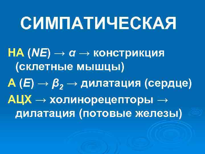 СИМПАТИЧЕСКАЯ НА (NE) → α → констрикция (склетные мышцы) А (E) → β 2