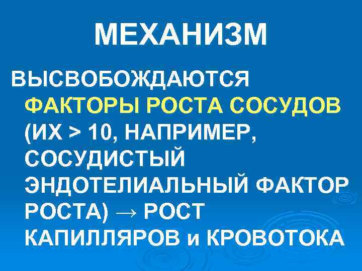 МЕХАНИЗМ ВЫСВОБОЖДАЮТСЯ ФАКТОРЫ РОСТА СОСУДОВ (ИХ > 10, НАПРИМЕР, СОСУДИСТЫЙ ЭНДОТЕЛИАЛЬНЫЙ ФАКТОР РОСТА) →