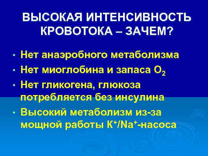 ВЫСОКАЯ ИНТЕНСИВНОСТЬ КРОВОТОКА – ЗАЧЕМ? • • Нет анаэробного метаболизма Нет миоглобина и запаса