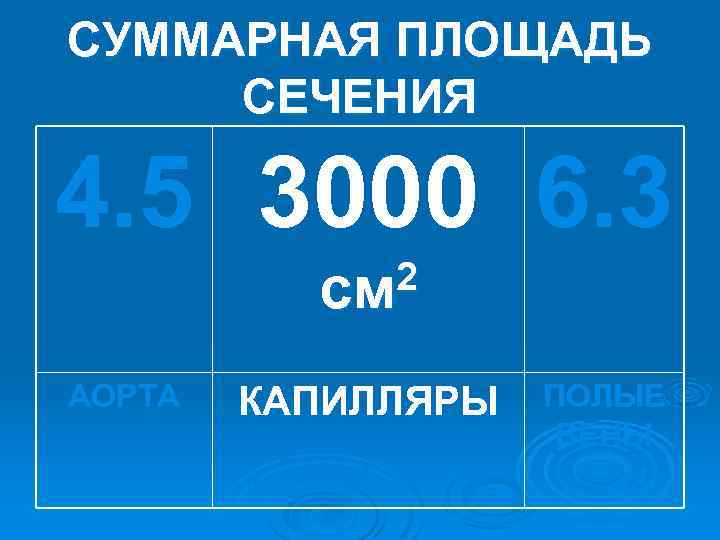 СУММАРНАЯ ПЛОЩАДЬ СЕЧЕНИЯ 4. 5 3000 6. 3 2 см АОРТА КАПИЛЛЯРЫ ПОЛЫЕ ВЕНЫ