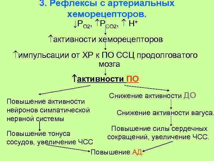 3. Рефлексы с артериальных хеморецепторов. ↓PO 2, РСО 2, Н+ активности хеморецепторов импульсации от