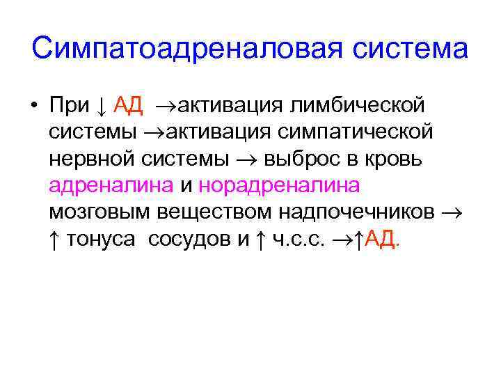 Симпатоадреналовая система • При ↓ АД активация лимбической системы активация симпатической нервной системы выброс