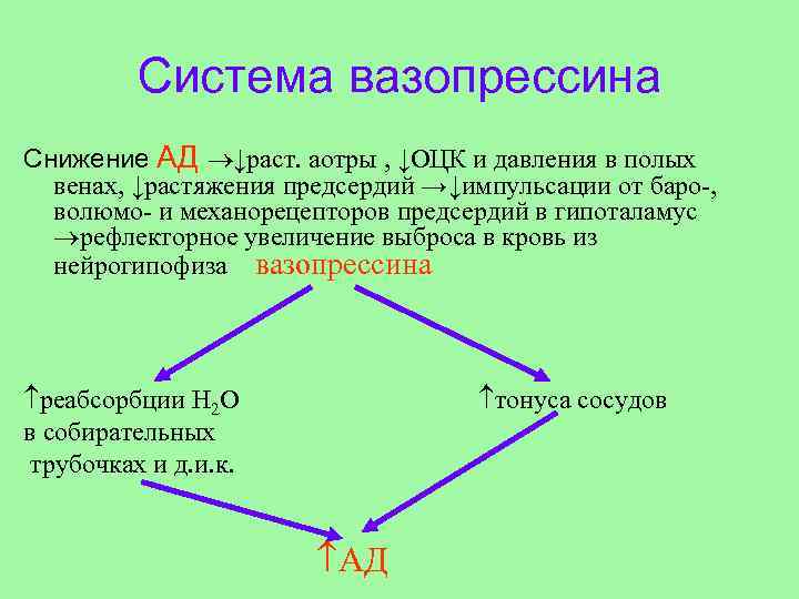 Система вазопрессина Снижение АД ↓раст. аотры , ↓ОЦК и давления в полых венах, ↓растяжения