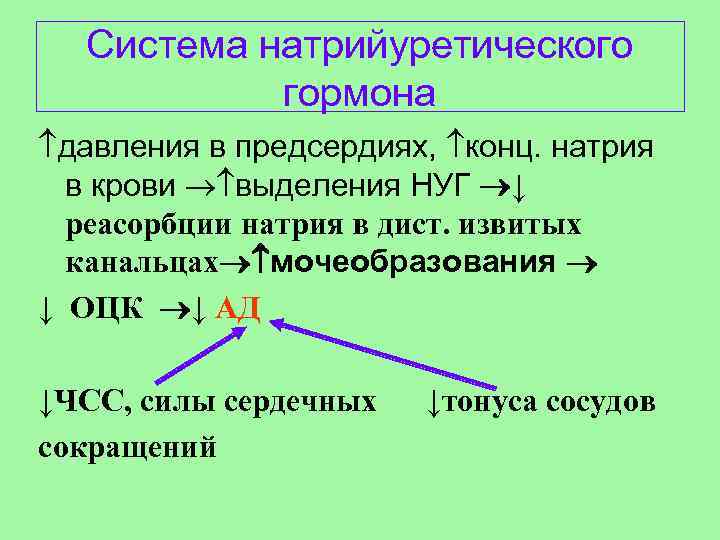 Система натрийуретического гормона давления в предсердиях, конц. натрия в крови выделения НУГ ↓ реасорбции