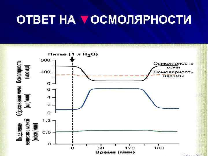 ОТВЕТ НА ▼ОСМОЛЯРНОСТИ 