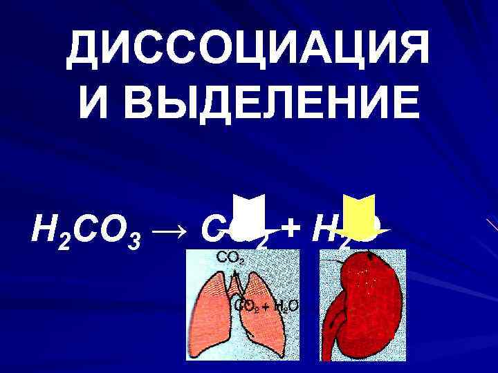 ДИССОЦИАЦИЯ И ВЫДЕЛЕНИЕ H 2 CO 3 → CO 2 + H 2 O