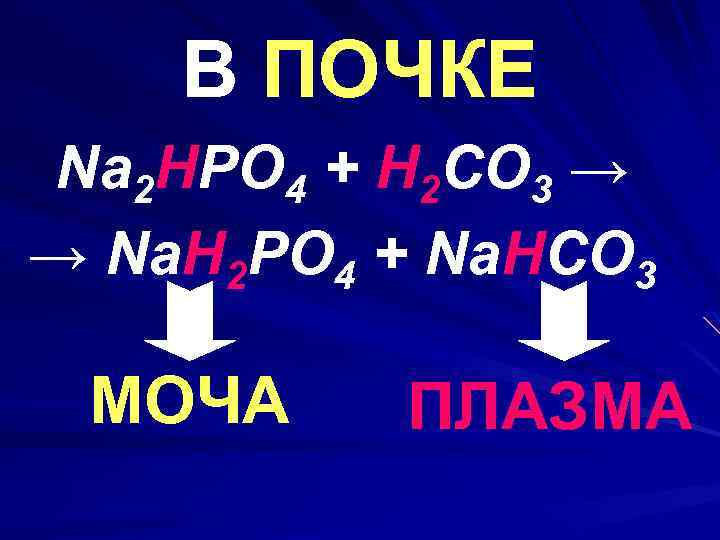 В ПОЧКЕ Na 2 HPO 4 + H 2 CO 3 → → Na.