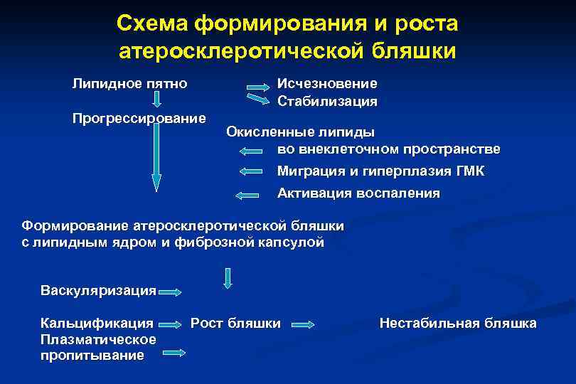 Схема формирования и роста атеросклеротической бляшки Липидное пятно Исчезновение Стабилизация Прогрессирование Окисленные липиды во