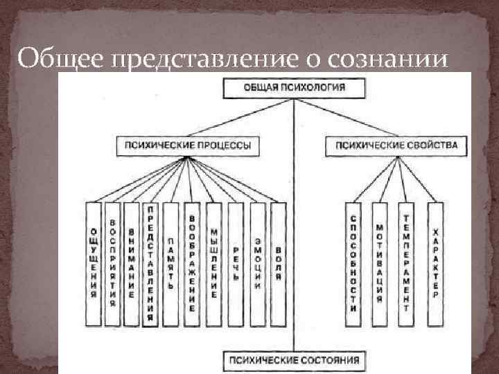 Общее представление о сознании 