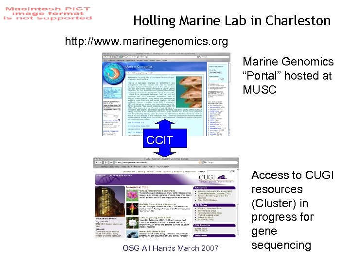 Holling Marine Lab in Charleston http: //www. marinegenomics. org Marine Genomics “Portal” hosted at