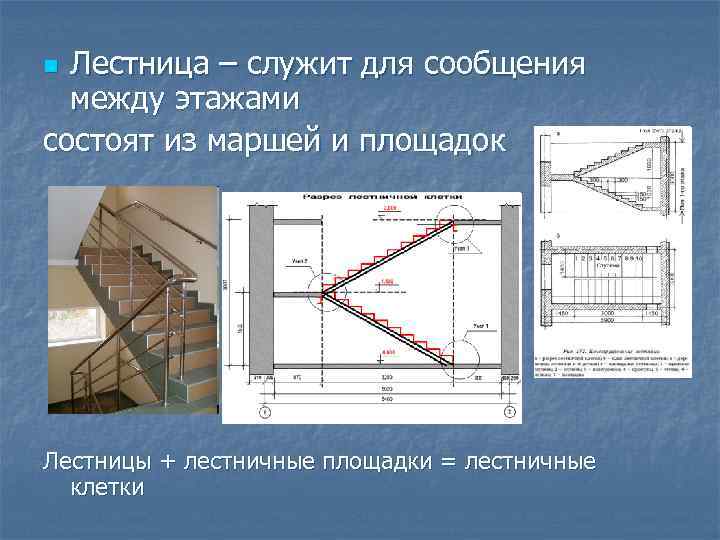 Лестница – служит для сообщения между этажами состоят из маршей и площадок n Лестницы