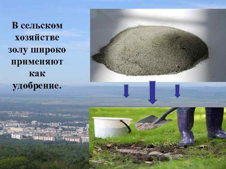 В сельском хозяйстве золу широко применяют как удобрение. 