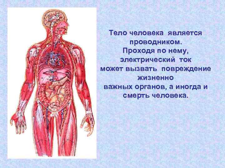 Тело человека является проводником. Проходя по нему, электрический ток может вызвать повреждение жизненно важных