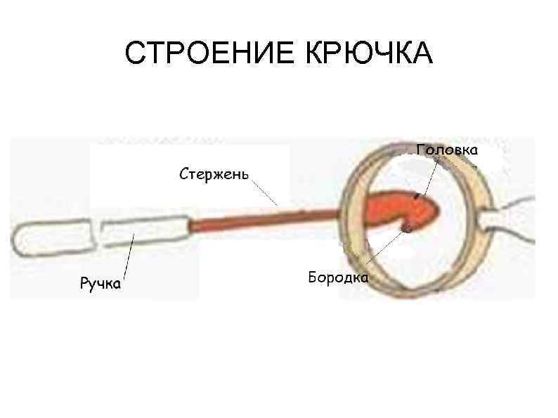СТРОЕНИЕ КРЮЧКА 