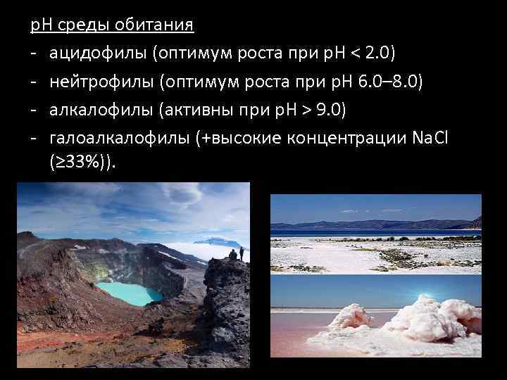 р. Н среды обитания - ацидофилы (оптимум роста при р. Н < 2. 0)