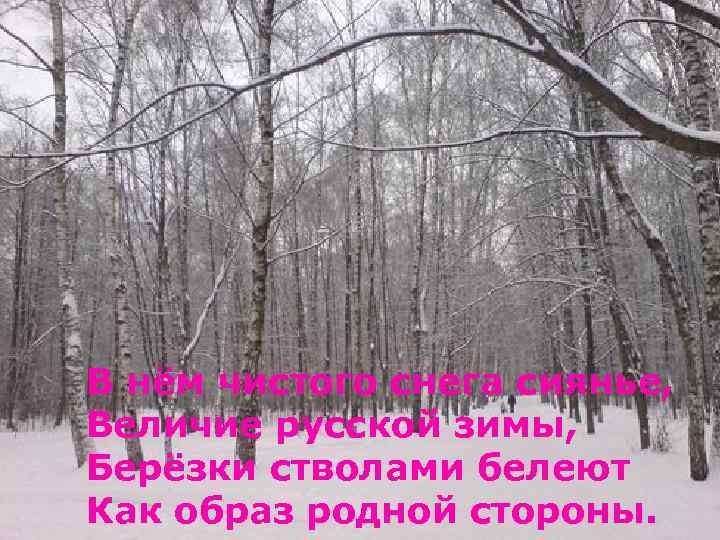 В нём чистого снега сиянье, Величие русской зимы, Берёзки стволами белеют Как образ родной