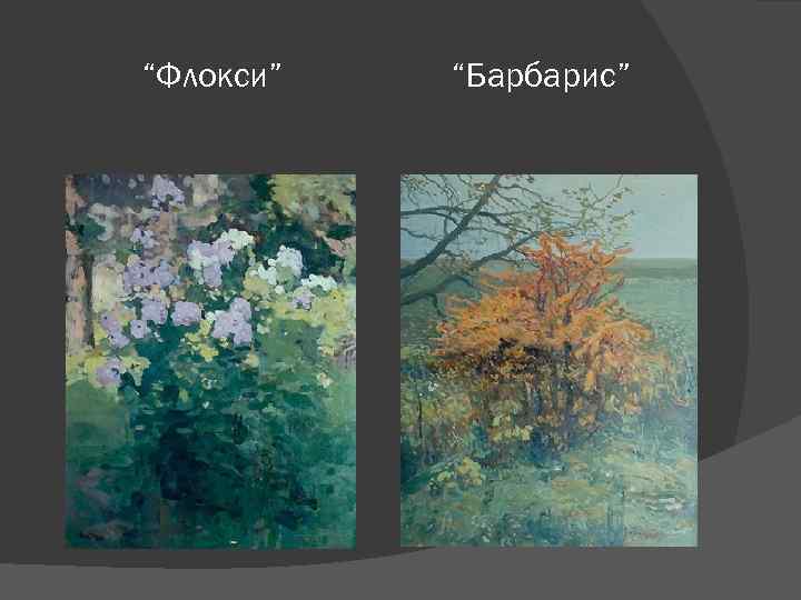 “Флокси” “Барбарис” 