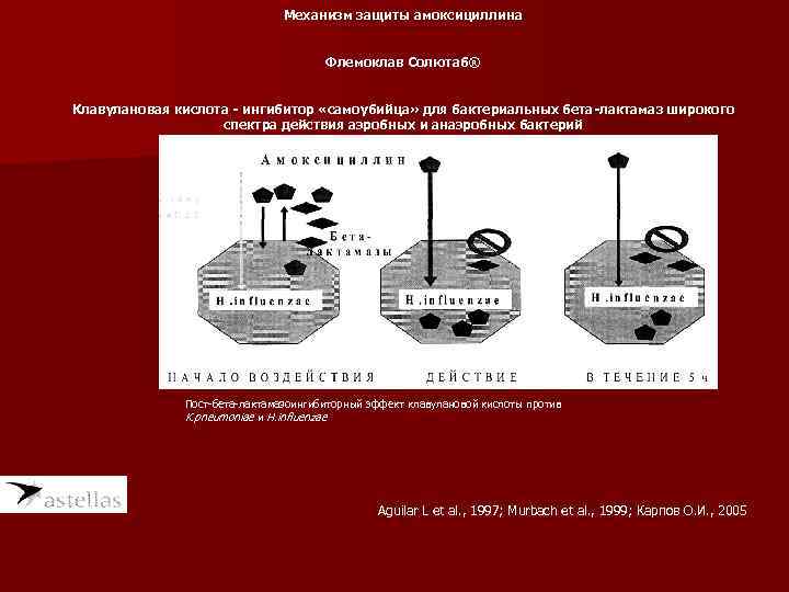 Механизм защиты амоксициллина Флемоклав Солютаб® Клавулановая кислота ингибитор «самоубийца» для бактериальных бета лактамаз широкого