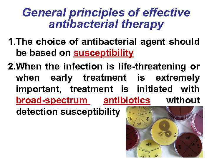 General principles of effective antibacterial therapy 1. The choice of antibacterial agent should be