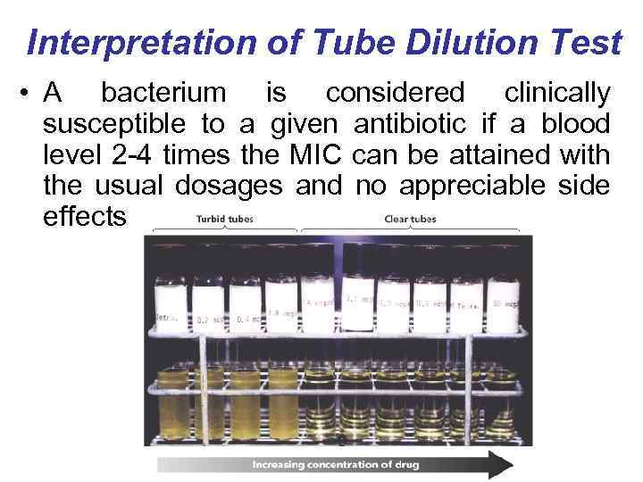 Interpretation of Tube Dilution Test • A bacterium is considered clinically susceptible to a