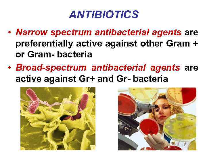 ANTIBIOTICS • Narrow spectrum antibacterial agents are preferentially active against other Gram + or