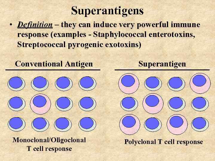 Superantigens • Definition – they can induce very powerful immune response (examples - Staphylococcal